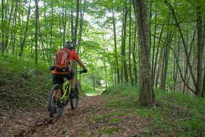 Apakah E-Sepeda Merusak Bersepeda Gunung?